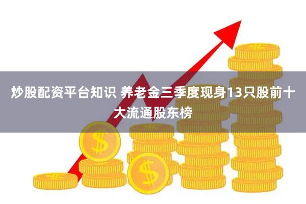 炒股配资平台知识 养老金三季度现身13只股前十大流通股东榜