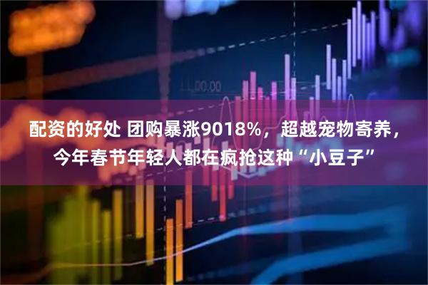 配资的好处 团购暴涨9018%,超越宠物寄养,今年春节年轻人都在疯抢这种“小豆子”